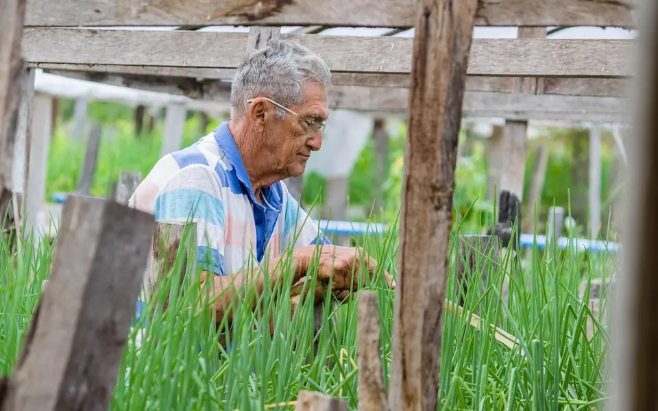 Secteur couvert : Agriculture, pêche, agroalimentaire
