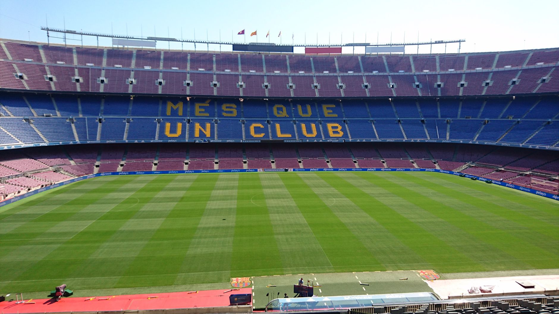 Dès maintenant, pourquoi les formations courtes séduisent les jeunes diplômés