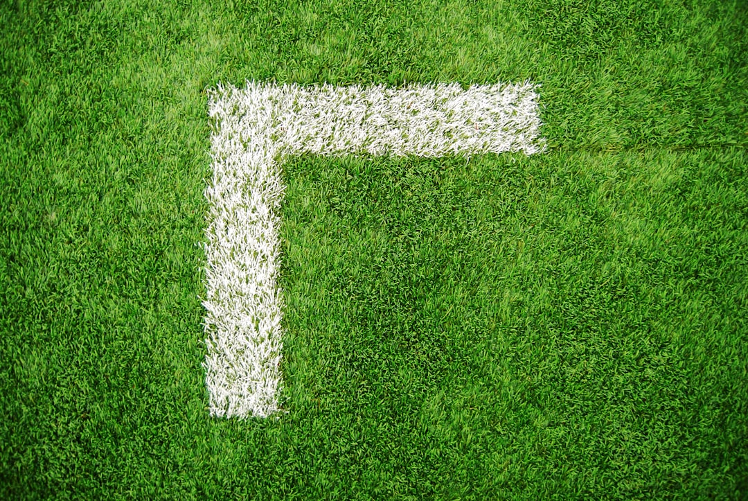 Alternance vs formation courte : choisir pour se former en