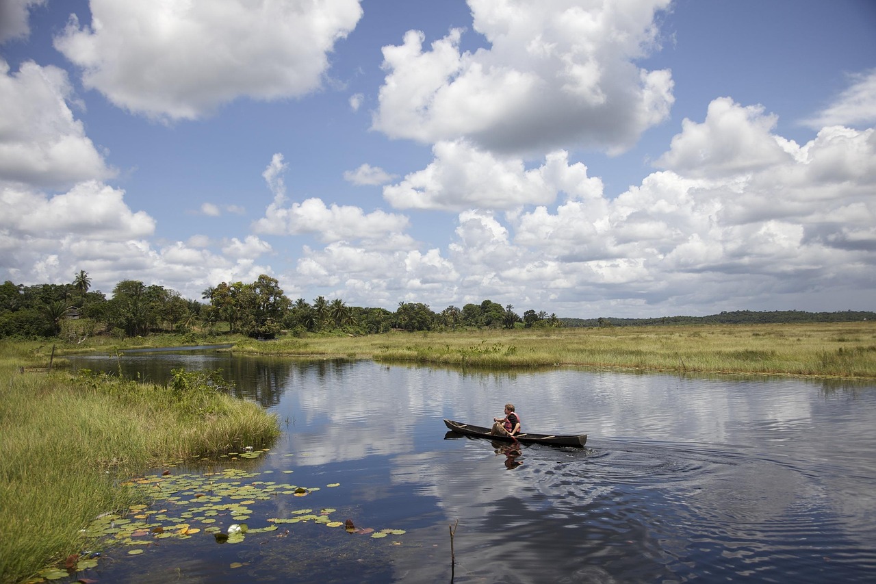 Meilleurs métiers du numérique en Guyane — classement et guide